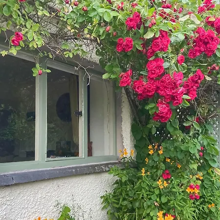 Feriehus Sunnyside Brigsteer